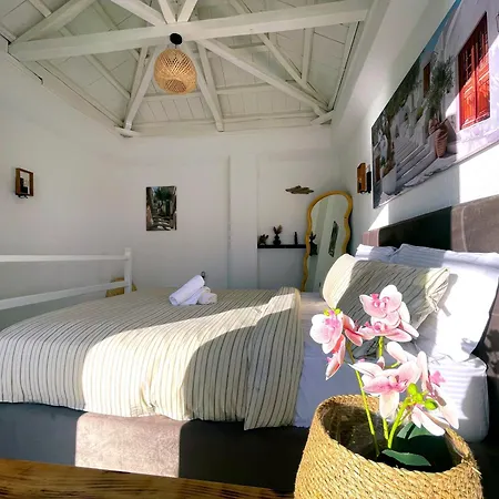 Semesterbostad Anora House